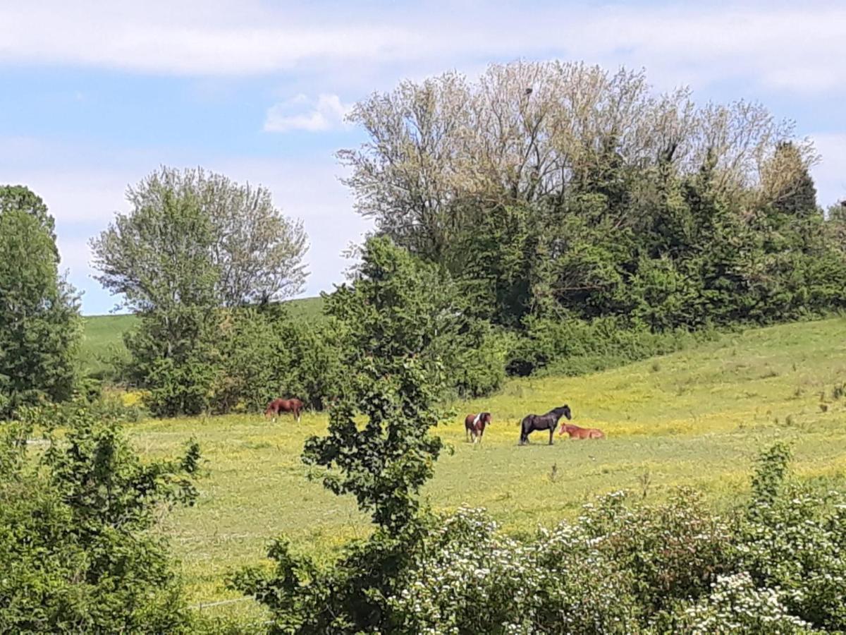 Apartmán Ai Boschi Ozzano dell'Emilia Exteriér fotografie