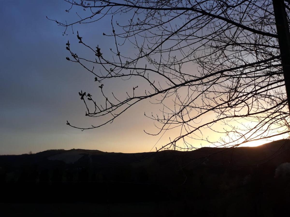 Apartmán Ai Boschi Ozzano dell'Emilia Exteriér fotografie