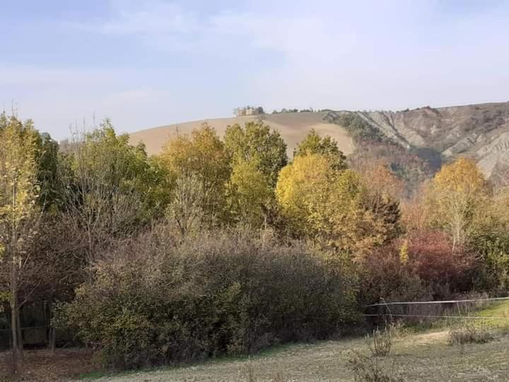 Apartmán Ai Boschi Ozzano dell'Emilia Exteriér fotografie