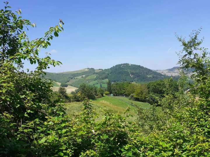 Apartmán Ai Boschi Ozzano dell'Emilia Exteriér fotografie