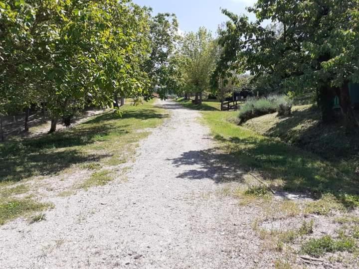 Apartmán Ai Boschi Ozzano dell'Emilia Exteriér fotografie